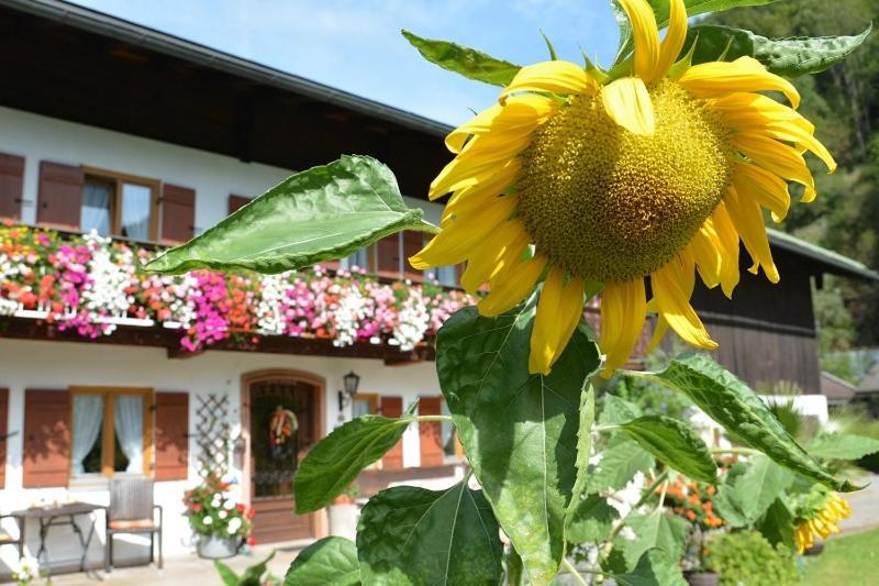 Haus Jagerer Hotel Ramsau bei Berchtesgaden Exterior photo